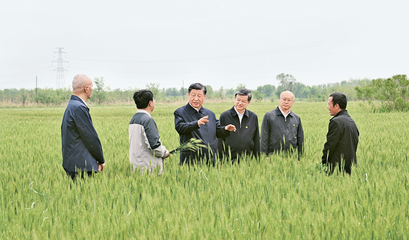 2023年5月11日至12日，中共中央總書記、國家主席、中央軍委主席習(xí)近平在河北考察，并主持召開深入推進(jìn)京津冀協(xié)同發(fā)展座談會(huì)。這是11日上午，習(xí)近平在滄州市黃驊市舊城鎮(zhèn)仙莊片區(qū)旱堿地麥田考察時(shí)，同種植戶、農(nóng)技專家親切交流。 新華社記者 李學(xué)仁/攝