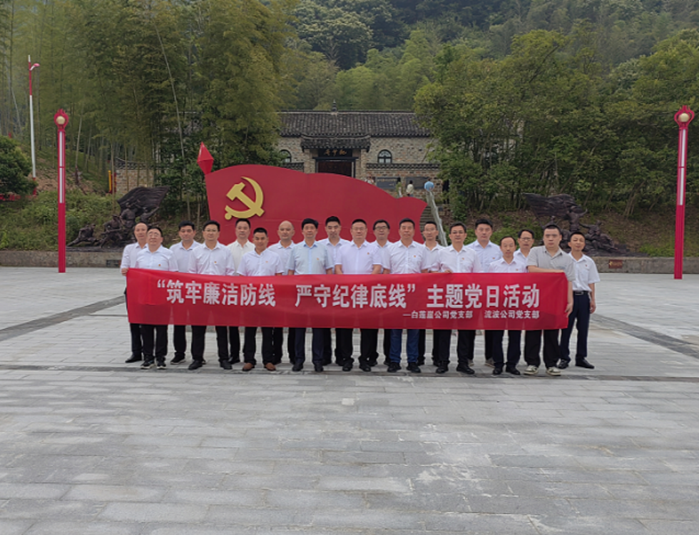 白蓮崖電站、流波電站_副本.png